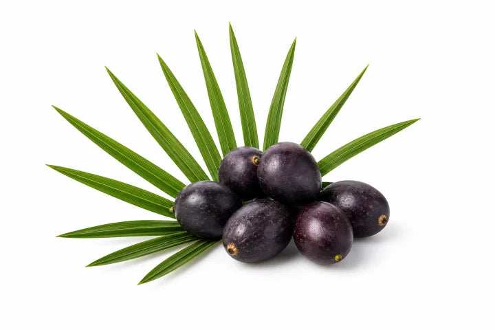 Saw palmetto